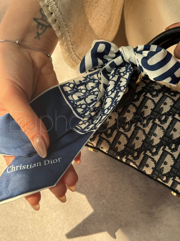 کیف مینی دیناز دستی و دوشی دیور dior