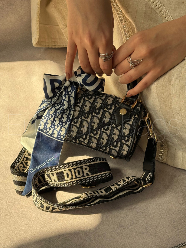 کیف مینی دیناز دستی و دوشی دیور dior