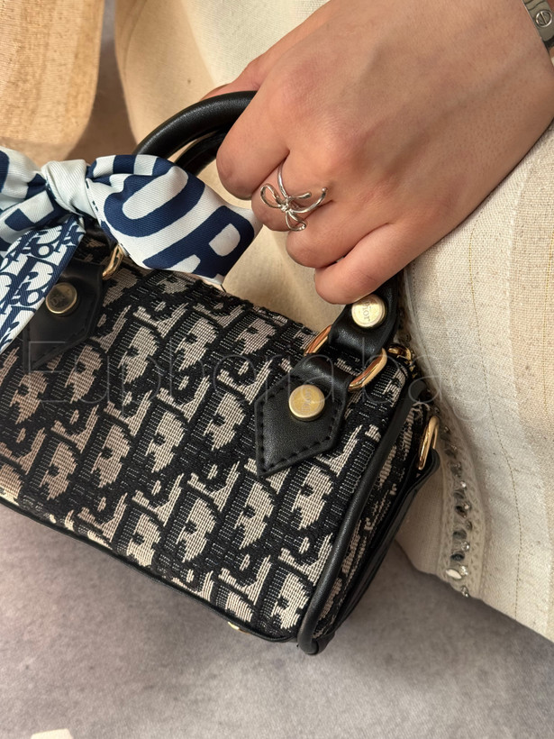 کیف مینی دیناز دستی و دوشی دیور dior