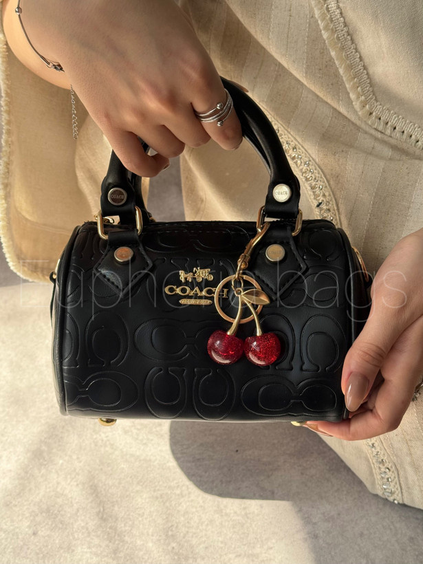 کیف گیلاس صندوقی کوچ گیلاسی زنانه دخترانه دستی و دوشی coach