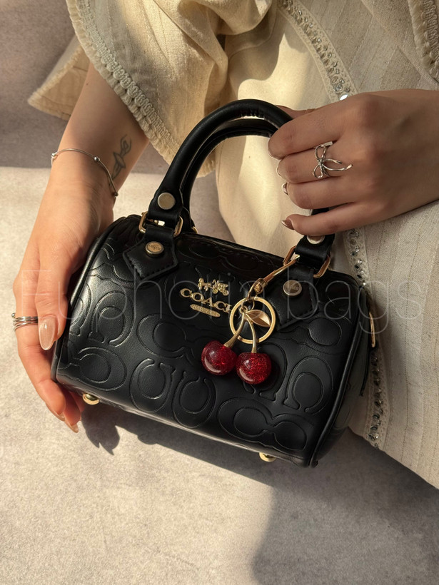 کیف گیلاس صندوقی کوچ گیلاسی زنانه دخترانه دستی و دوشی coach