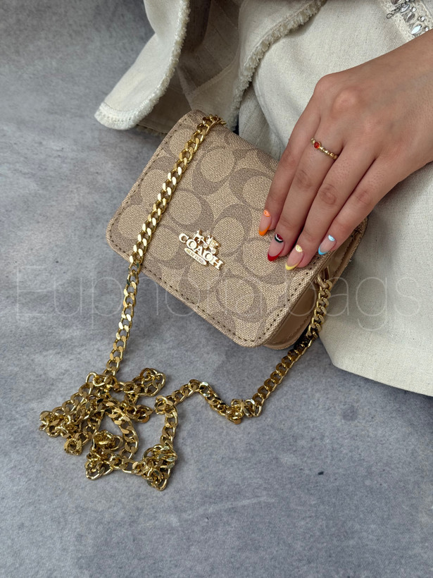 مینی بگ نِلا کوچ coach